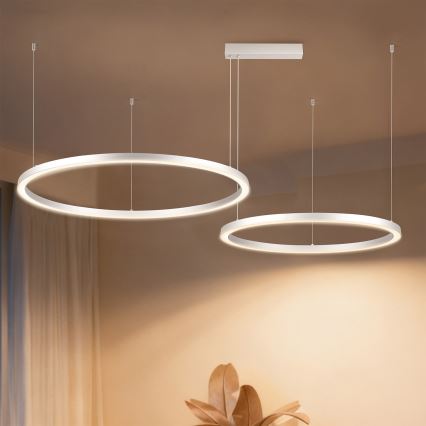 Brilagi - Lámpara colgante LED regulable PORTOFINO LED/98W/230V 3000-6000K plateada + mando a distancia
