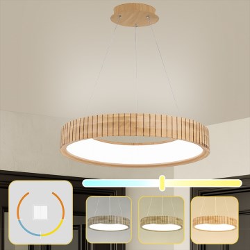 Brilagi - Lámpara colgante LED suspendida por cable FALCON WOOD MODERN LED/40W/230V 3000/4000/6000K, diámetro 60 cm, acabado en madera