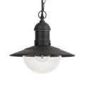 Brilagi - Lámpara colgante para exterior MOLDE 1xE27/60W IP44 negra