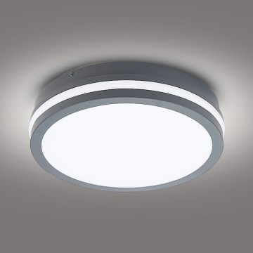 Brilagi - Lámpara de exterior LED BENE LED/24W/230V diá. 26 cm antracita IP54