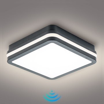 Brilagi - Lámpara de exterior LED con sensor BENE LED/18W/230V 22x22 cm antracita IP54
