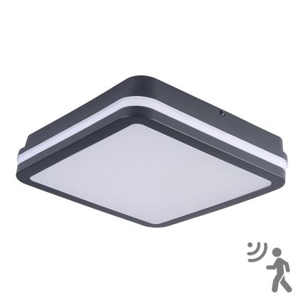 Brilagi - LED Luz exterior con sensor de movimiento BENE LED/24W/230V 26x26 cm antracita IP54