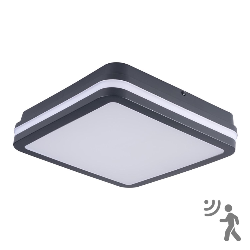 Brilagi - LED Luz exterior con sensor de movimiento BENE LED/24W/230V 26x26 cm antracita IP54