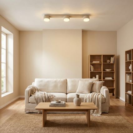 Brilagi - Lámpara de focos MONO 3xGX53/12W/230V beige