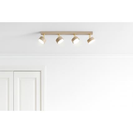 Brilagi - Lámpara de focos MONO 4xGX53/12W/230V beige