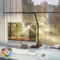 Brilagi - Lámpara de mesa LED regulable con control táctil VARIO LED/24W/230V 3000-6500K CRI 92 negra