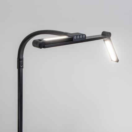 BRILAGI - Lámpara de mesa LED regulable con control táctil y pinza VARIO LED/24W/230V 3000-6500K CRI 92 negra
