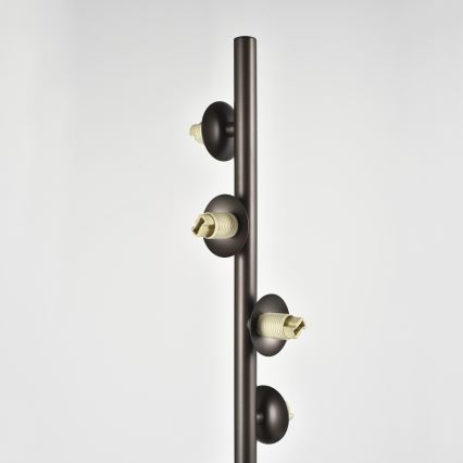 Brilagi - Lámpara de pie LED MILLA 7xG9/3W/230V marrón/marrón ahumado