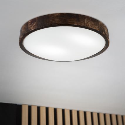 Brilagi - Lámpara de techo CARVALHO SLIM SMOKEY 2xE27/60W/230V roble Ø 37,5 cm
