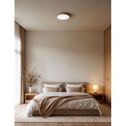Brilagi - Lámpara de techo CLARE 2xE27/24W/230V Ø 30 cm marrón
