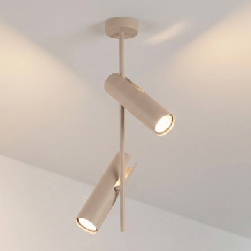 BRILAGI - Lámpara de techo con varilla BRANCH 2xGU10/30W/230V beige