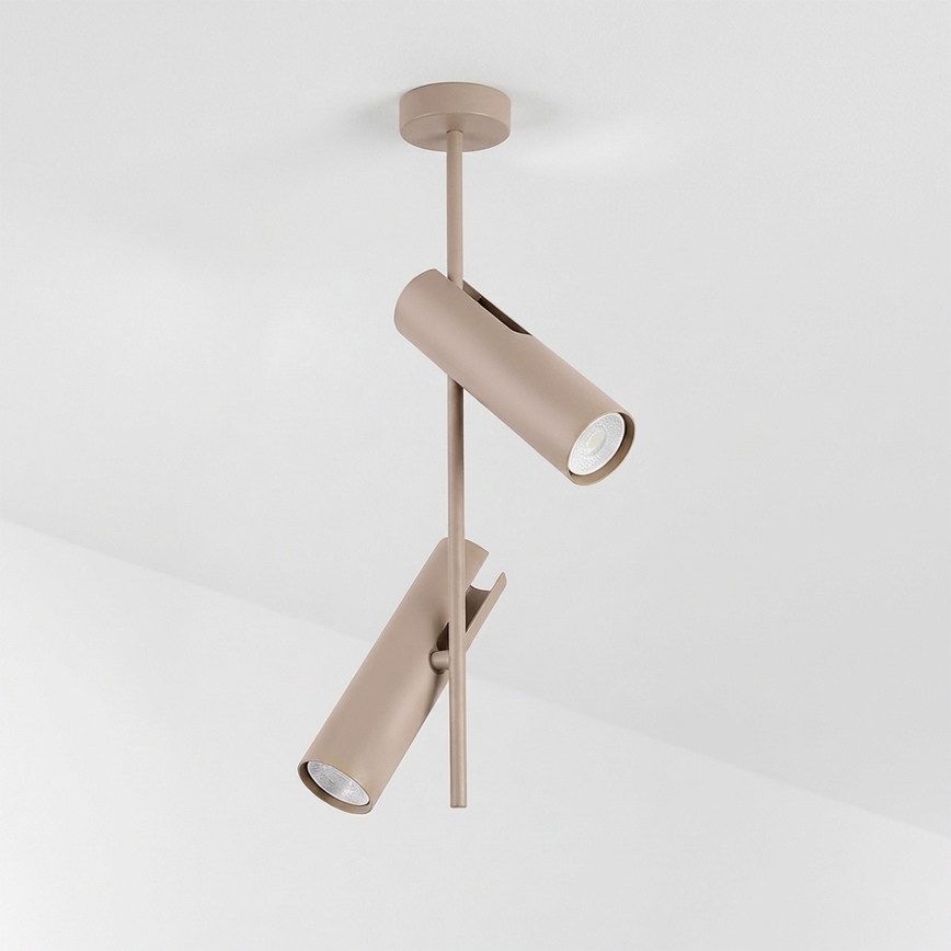 BRILAGI - Lámpara de techo con varilla BRANCH 2xGU10/30W/230V beige