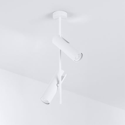 BRILAGI - Lámpara de techo con varilla BRANCH 2xGU10/30W/230V blanca