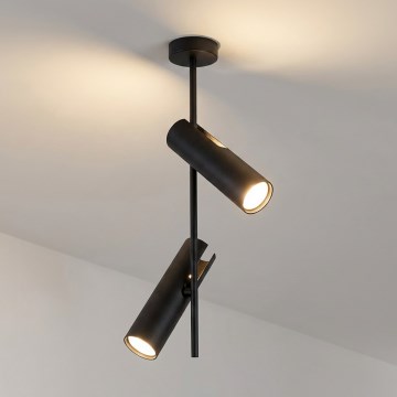 BRILAGI - Lámpara de techo con varilla BRANCH 2xGU10/30W/230V negra