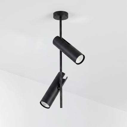 BRILAGI - Lámpara de techo con varilla BRANCH 2xGU10/30W/230V negra