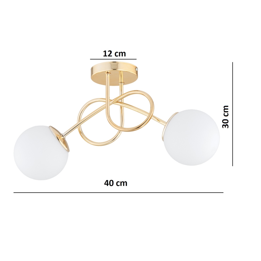 BRILAGI - Lámpara de techo de montaje en superficie MILO 2xE27/60W/230V dorada
