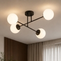 BRILAGI - Lámpara de techo de superficie MILO 4xE27/60W/230V negra
