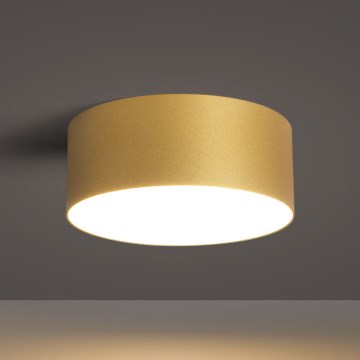 BRILAGI - Lámpara de techo exterior LED FORIS LED/20W/230V Ø 15 cm, dorada, IP44