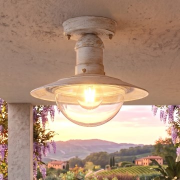Brilagi - Lámpara de techo exterior MOLDE 1xE27/60W IP44 blanca/pátina