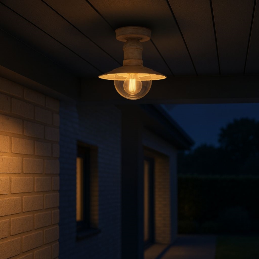 Brilagi - Lámpara de techo exterior MOLDE 1xE27/60W IP44 blanca/pátina