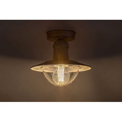 Brilagi - Lámpara de techo exterior MOLDE 1xE27/60W IP44 blanca/pátina