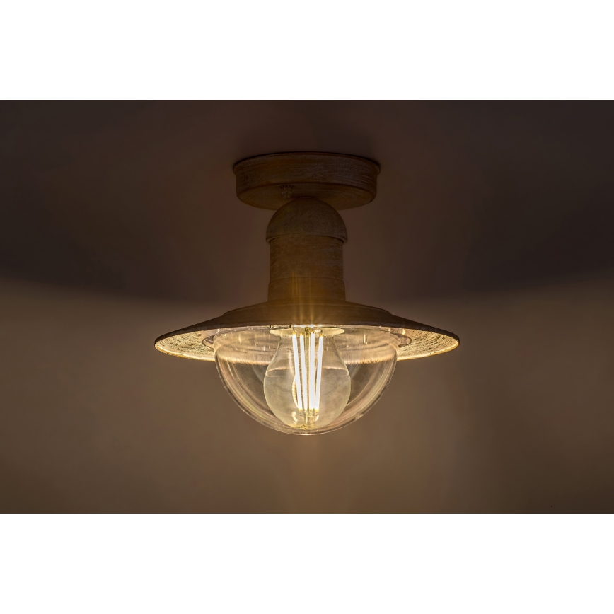 Brilagi - Lámpara de techo exterior MOLDE 1xE27/60W IP44 blanca/pátina