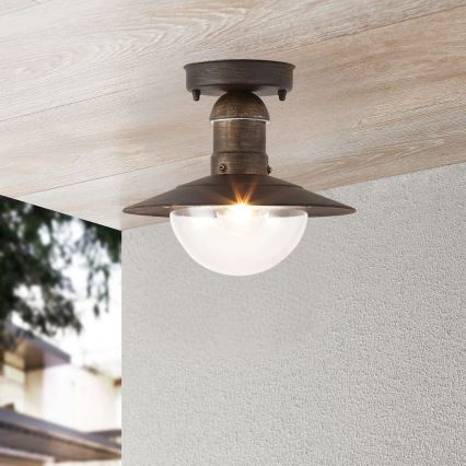 Brilagi - Lámpara de techo exterior MOLDE 1xE27/60W IP44 bronce/pátina