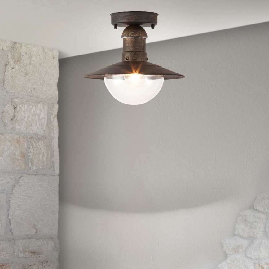 Brilagi - Lámpara de techo exterior MOLDE 1xE27/60W IP44 bronce/pátina