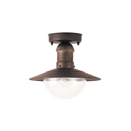Brilagi - Lámpara de techo exterior MOLDE 1xE27/60W IP44 bronce/pátina