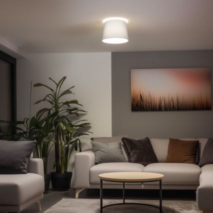 Brilagi - Lámpara de techo LED de superficie CERIA 1xE27/40W/230V, diámetro 30 cm, gris