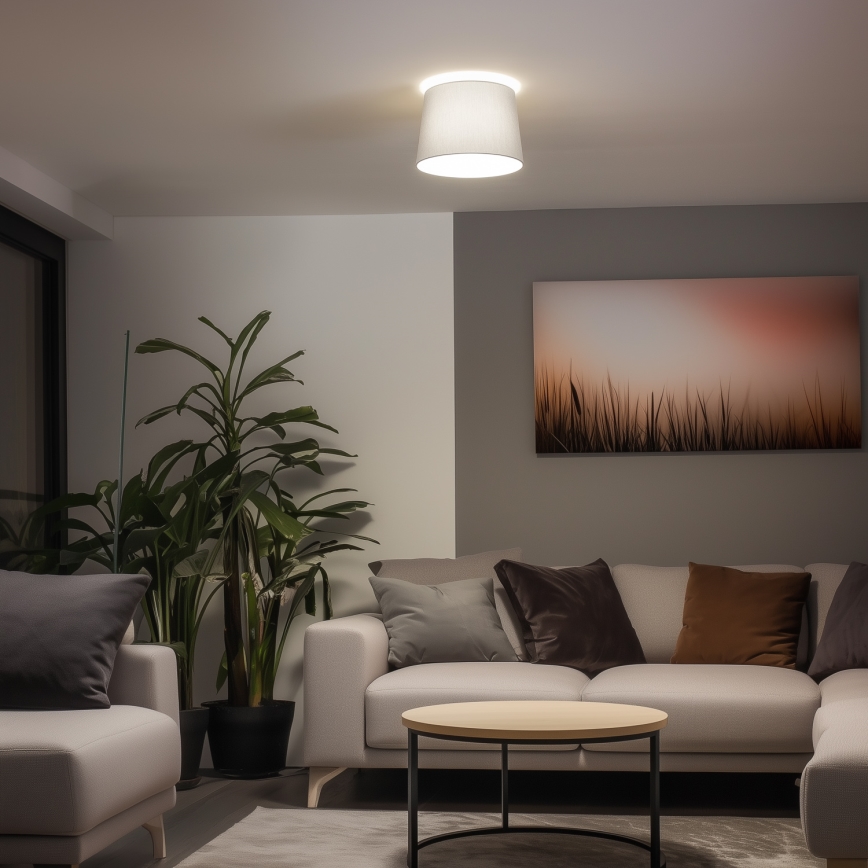 Brilagi - Lámpara de techo LED de superficie CERIA 1xE27/40W/230V, diámetro 30 cm, gris