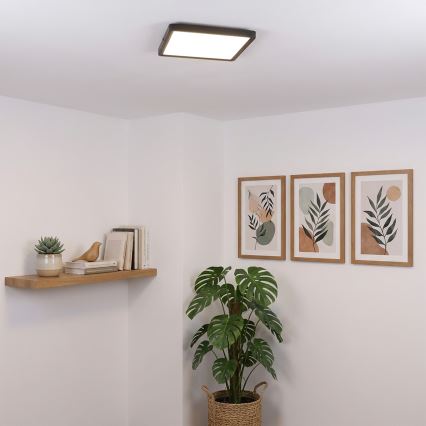 Brilagi - Lámpara de techo LED ESTELA SQUARE LED/24W/230V 31x31 cm negra