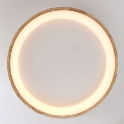Brilagi - Lámpara de techo LED FALCON WOOD MODERN LED/60W/230V 3000/4000/6000K Ø 80 cm acabado en madera