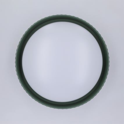 BRILAGI - Lámpara de techo LED LUCIA, 24 W, 230 V, Ø 31 cm, color verde