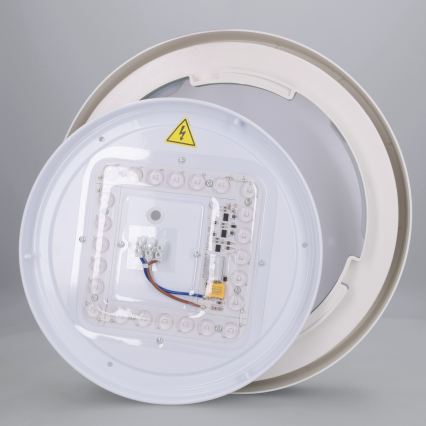 Brilagi - Lámpara de techo LED MATTEO LED/24W/230V Ø 31 cm, verde