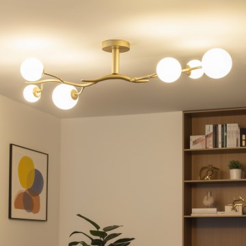 Brilagi - Lámpara de techo LED MISTEL 6xG9/3W/230V dorado/blanco
