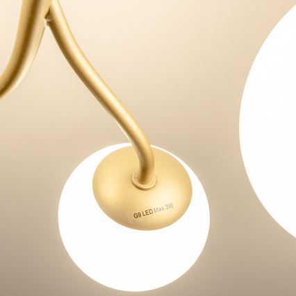 Brilagi - Lámpara de techo LED MISTEL 6xG9/3W/230V dorado/blanco