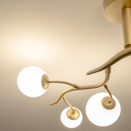 Brilagi - Lámpara de techo LED MISTEL 6xG9/3W/230V dorado/blanco