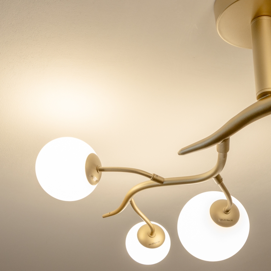 Brilagi - Lámpara de techo LED MISTEL 6xG9/3W/230V dorado/blanco
