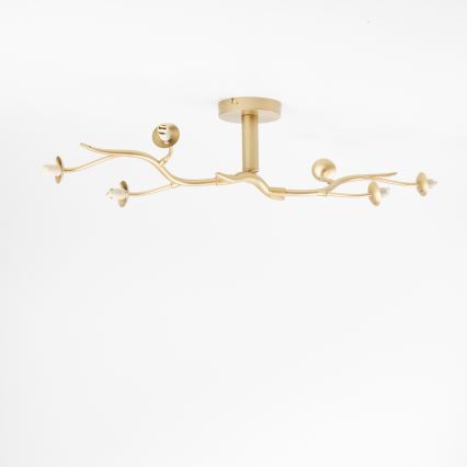 Brilagi - Lámpara de techo LED MISTEL 6xG9/3W/230V dorado/blanco