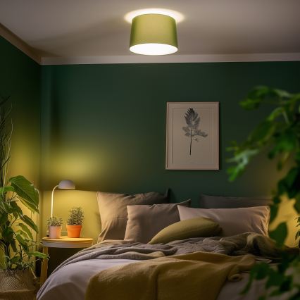Brilagi - Lámpara de techo LED montada en superficie CERIA 1xE27/40W/230V Ø 45 cm, verde
