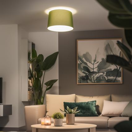 Brilagi - Lámpara de techo LED montada en superficie CERIA 1xE27/40W/230V Ø 45 cm, verde