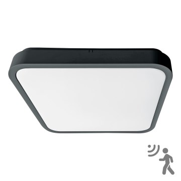 Brilagi - Lámpara de techo LED para baño con sensor ZENNA LED/18W/230V 28,5x28,5 cm IP44 antracita + mando a distancia