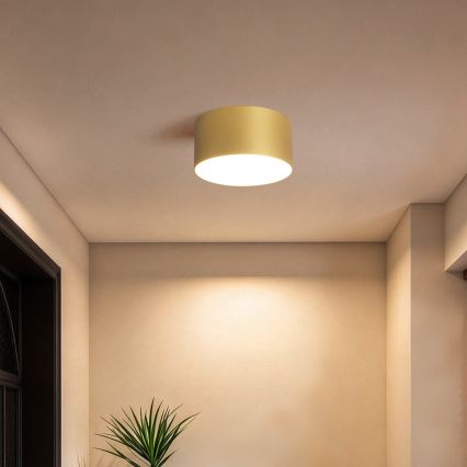 BRILAGI - Luminaria LED de techo para baño FORIS LED/14W/230V diámetro 12 cm dorada IP44
