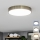 Brilagi - Lámpara de techo LED para baño POOL LED/36 W/230 V 3000/4000/5500 K Ø 40 cm IP54 latón