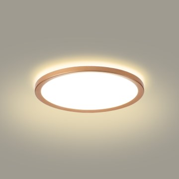 Brilagi - Lámpara de techo LED para baño ULTRA SLIM 18W/230V, Ø 30 cm, oro rosa, IP54