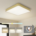 Brilagi - Lámpara de techo LED POOL/48W/230V 3000/4000/6000K 50x50 cm dorada