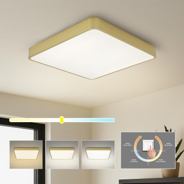 Brilagi - Lámpara de techo LED POOL/48W/230V 3000/4000/6000K 50x50 cm dorada