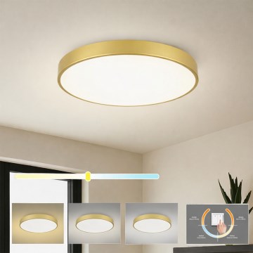 Brilagi - Lámpara de techo LED POOL LED/60W/230V 3000/4000/6000K Ø 60 cm dorada