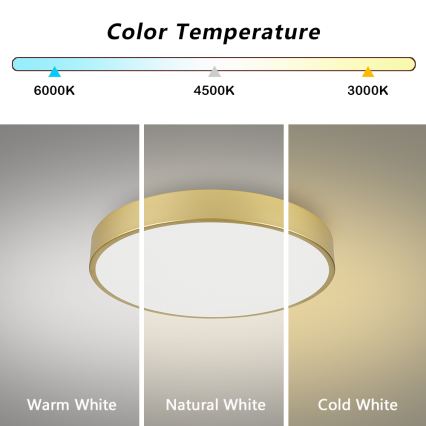 Brilagi - Lámpara de techo LED POOL LED/60W/230V 3000/4000/6000K Ø 60 cm dorada